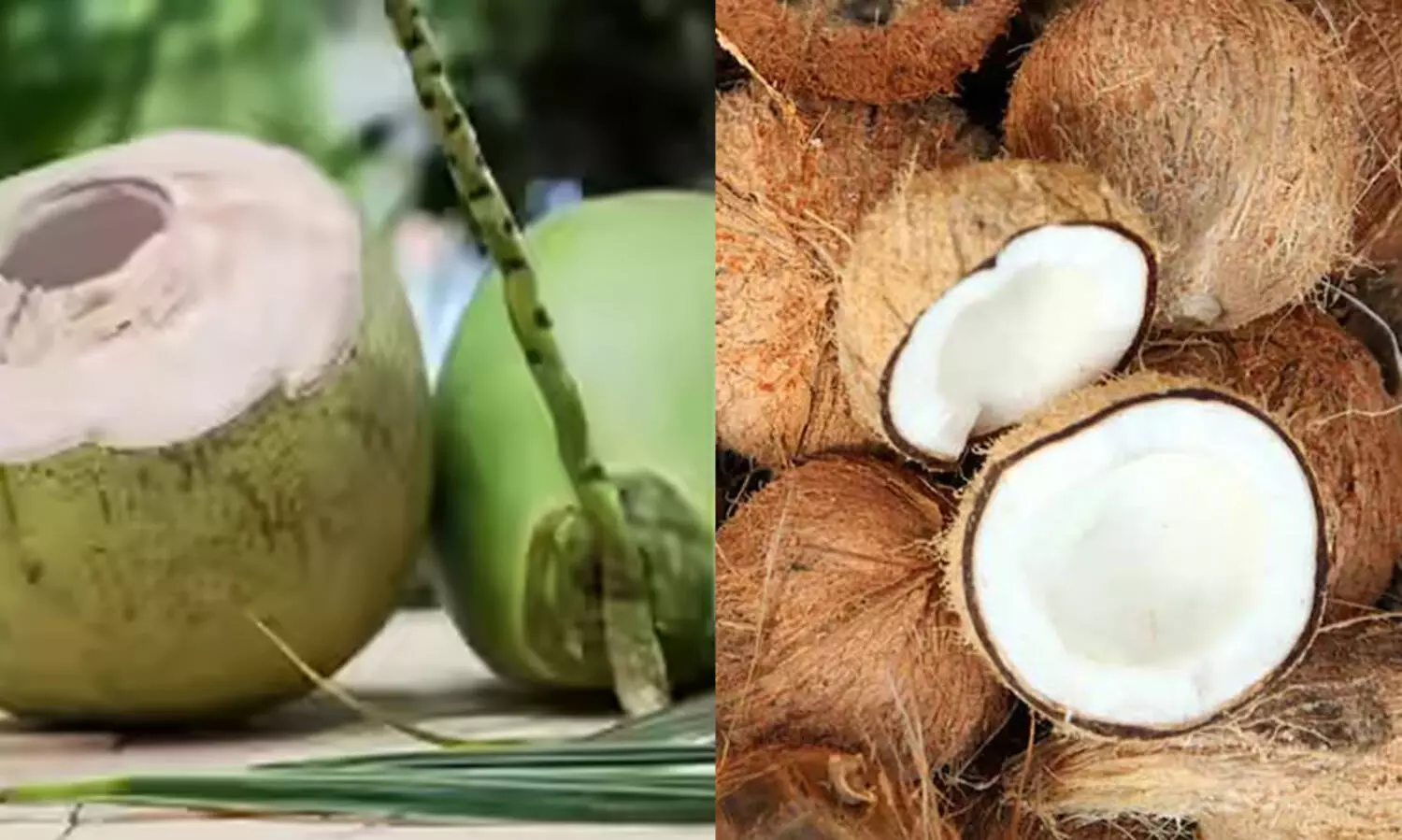 tender coconut