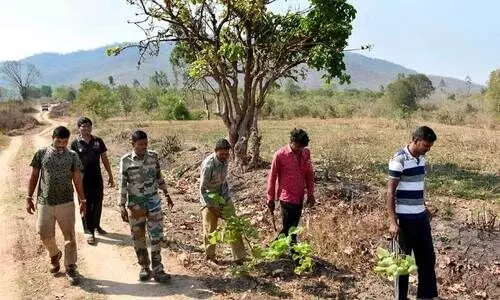 അറസ്റ്റ് ചെയ്യാന്‍ ഇനി വനം വാച്ചർമാർക്കധികാരമില്ല; 1961 മുതലുള്ള അധികാരം വെട്ടിക്കുറയ്ക്കുന്നു