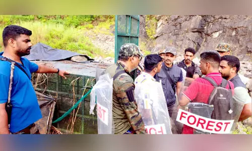 anesthetic to leopeard