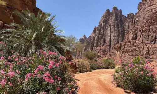 പുരാതന ചരിത്രത്തിലേക്കും മനുഷ്യ പൈതൃകത്തിലേക്കുമുള്ള നേർക്കാഴ്ച്ചയായി തബൂക്കിലെ പർവതനിരകൾ