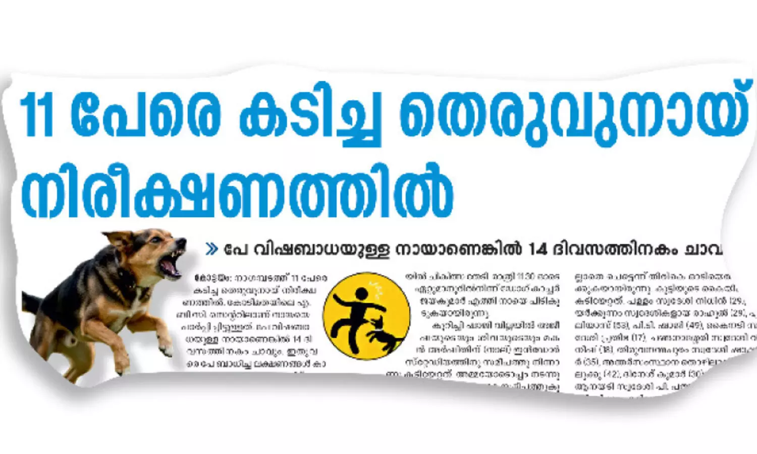 നാഗമ്പടത്ത്​ 11 പേരെ കടിച്ച നായ്​ ചത്തു