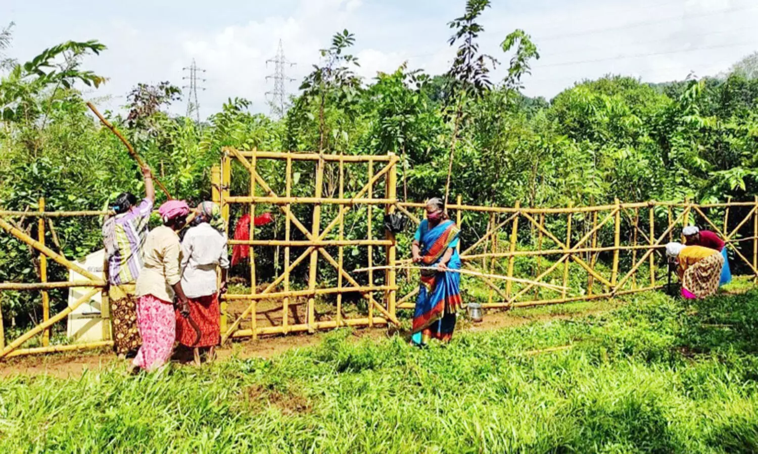 പണ്ട്​ കുപ്പത്തൊട്ടി, ഇന്ന്​ മനം നിറയ്ക്കും പച്ചത്തുരുത്ത്