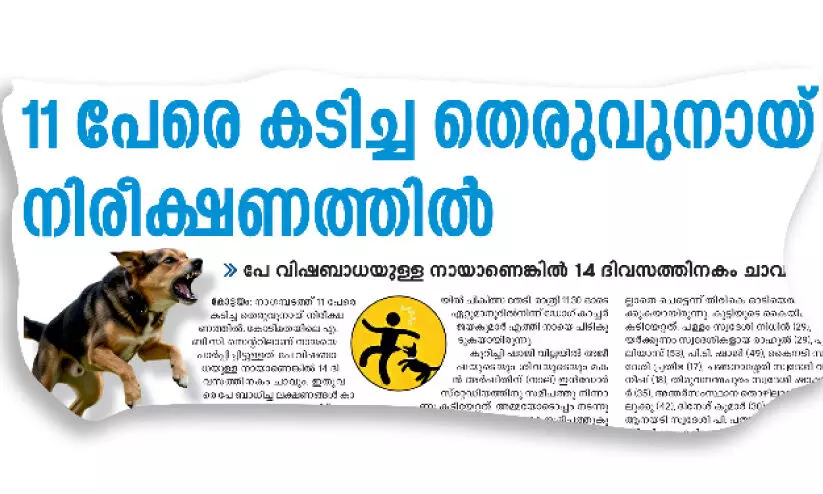 നാഗമ്പടത്ത്​ 11 പേരെ കടിച്ച നായ്​ ചത്തു