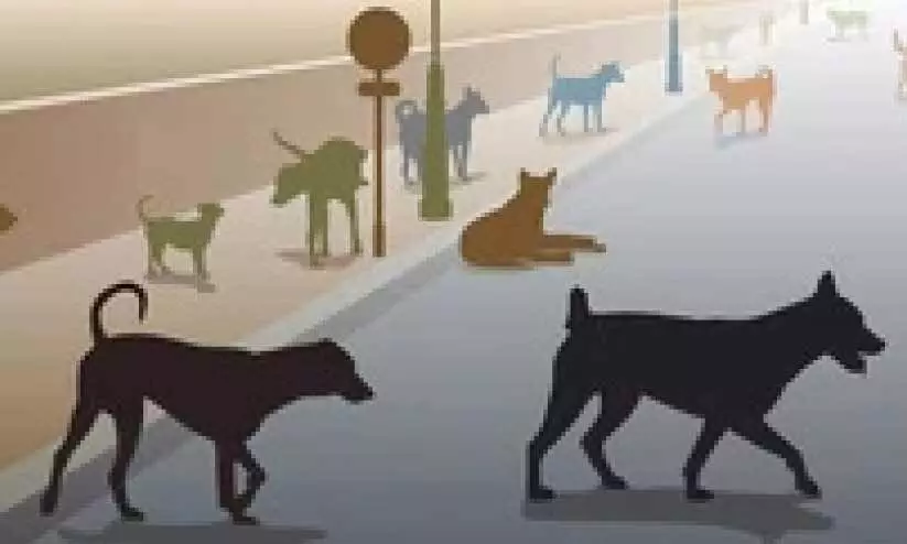 തെരുവുനായ് ശല്യം നിയന്ത്രിക്കാൻ കൊടുങ്ങല്ലൂരിൽ   ഡോഗ് ഷെൽട്ടറുകൾ സ്ഥാപിക്കും