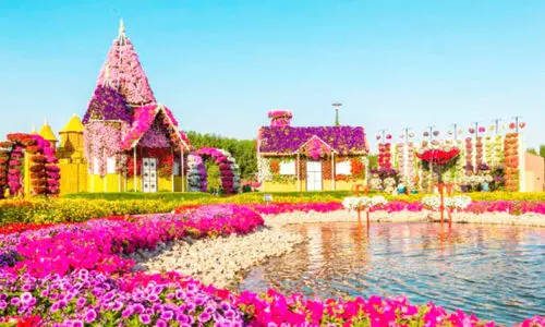 ദു​ബൈ മി​റാ​ക്കി​ൾ ഗാ​ർ​ഡ​ൻ 29ന്​ ​തു​റ​ക്കും