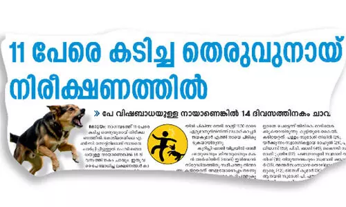 നാഗമ്പടത്ത്​ 11 പേരെ കടിച്ച നായ്​ ചത്തു