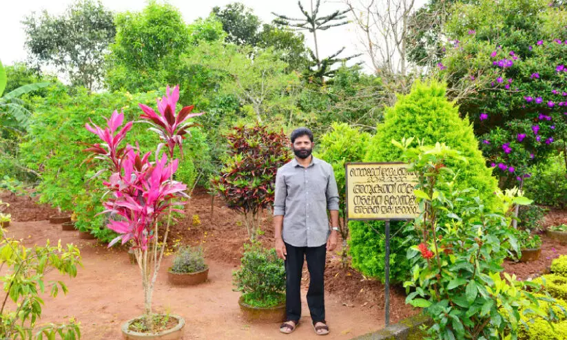 കെ.​സി. പീ​റ്റ​ർ, അ​ഥ​വാ വ​ലി​യൊ​രു പ​ച്ച​ത്തു​രു​ത്ത്