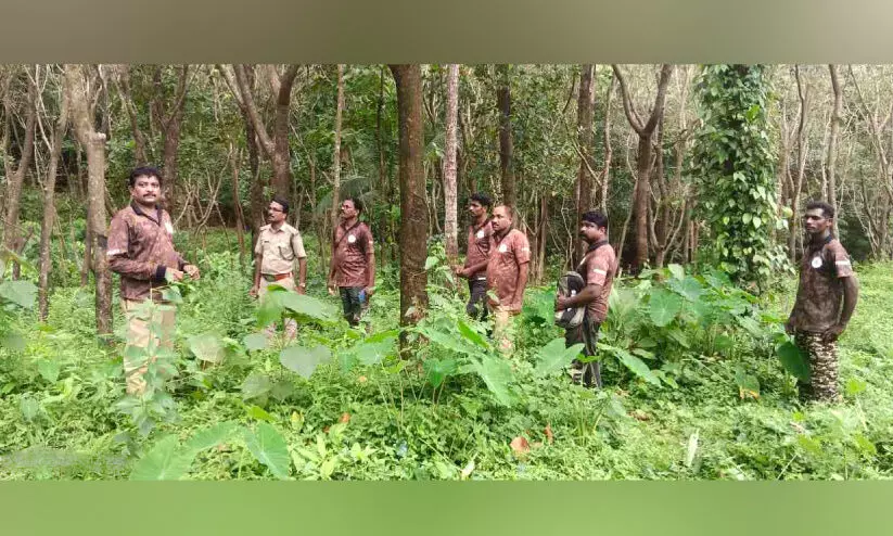 മ​നു​ഷ്യ-​വ​ന്യ​ജീ​വി സം​ഘ​ർ​ഷം: പ​രാ​തി​ക​ളി​ൽ ന​ട​പ​ടി തു​ട​ങ്ങി