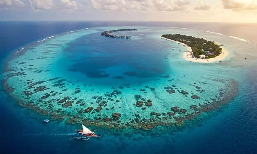 വെള്ളത്താൽ ചുറ്റപ്പെട്ട ദ്വീപ്, റാബീസ് ഫ്രീസോൺ;ഇവിടെ പാമ്പിനെയോ നായകളെയോ കാണാൻ കഴിയില്ല വെള്ളത്താൽ ചുറ്റപ്പെട്ട ദ്വീപ്, റാബീസ് ഫ്രീസോൺ;ഇവിടെ പാമ്പിനെയോ നായകളെയോ കാണാൻ കഴിയില്ല