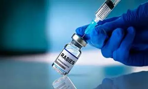 പേവിഷ ബാധയേറ്റ് കുട്ടി മരിച്ച സംഭവം; ഒ.പി ചികിത്സ രേഖകൾ സൂക്ഷിക്കാറില്ലെന്ന ‘വിചിത്ര’ ന്യായവുമായി അധികൃതർ