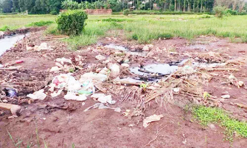 വില്ലനായി കയർ ഭൂവസ്ത്രം; ഏക്കർ കണക്കിന് വയൽ തരിശായി