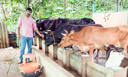 പശുവളർത്തലിലാണ്, മെക്കാനിക്കൽ എൻജിനീയർ പശുവളർത്തലിലാണ്, മെക്കാനിക്കൽ എൻജിനീയർ