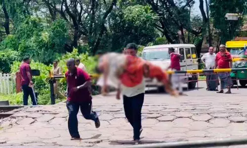 ഗേ​റ്റ​ട​ക്ക​ല്ലേ പ്ലീ​സ്, ഒ​രു ജീ​വ​നാ​ണ്