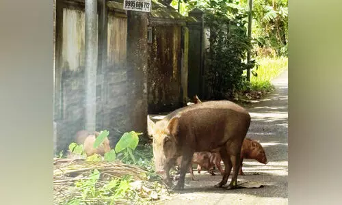 പു​റ​ത്തി​റ​ങ്ങാ​ൻ പേ​ടി​ച്ച് ജ​നം