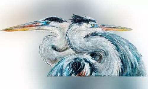 മൂന്നു കഥകൾ