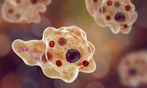 അ​മീ​ബി​ക് മ​സ്തി​ഷ്ക​ജ്വ​രം: പ്ര​തി​രോ​ധ പ്ര​വർത്ത​നം ശ​ക്ത​മാ​യി തു​ട​രും