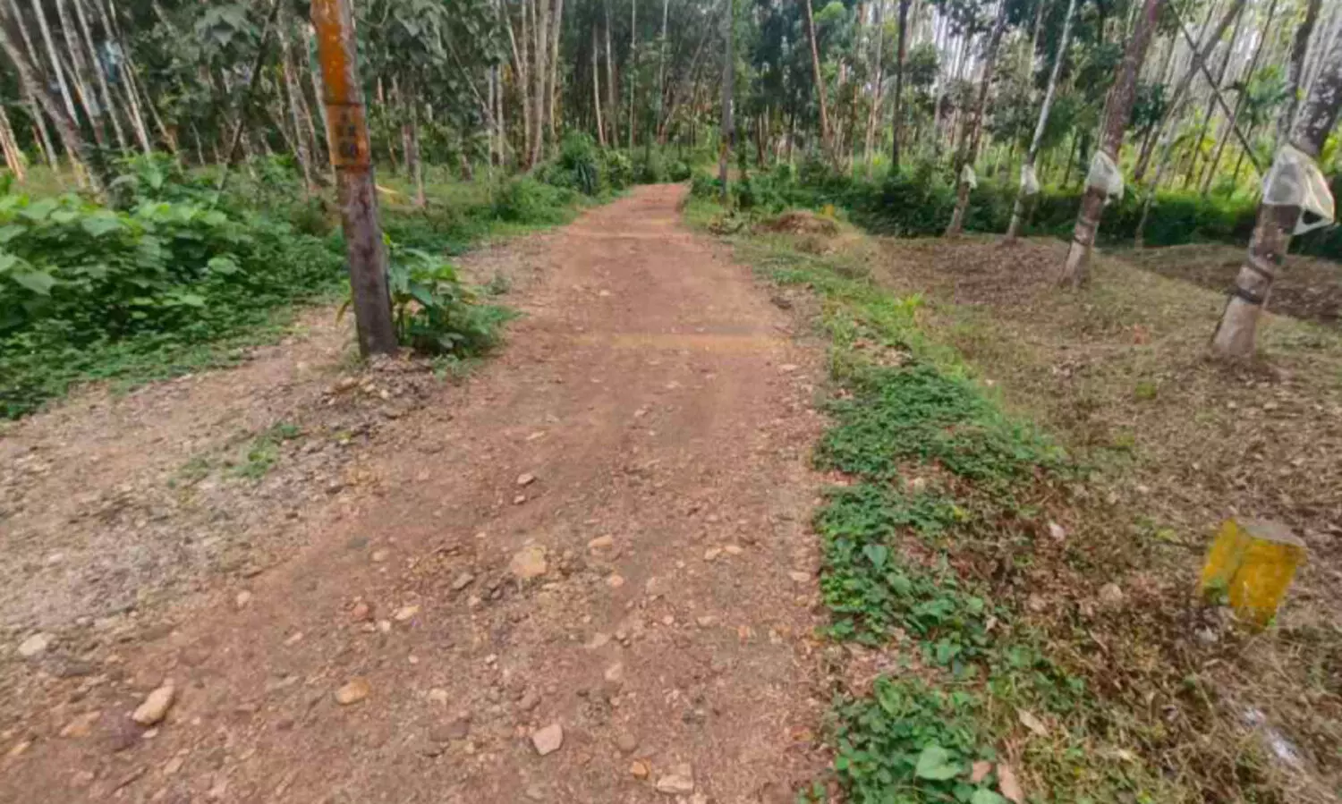 മ​ഞ്ഞ കു​റ്റി​ക​ൾ സാ​ക്ഷി; എ​ന്തേ ഫ​ണ്ട് ത​രാ​ത്ത​ത്​?