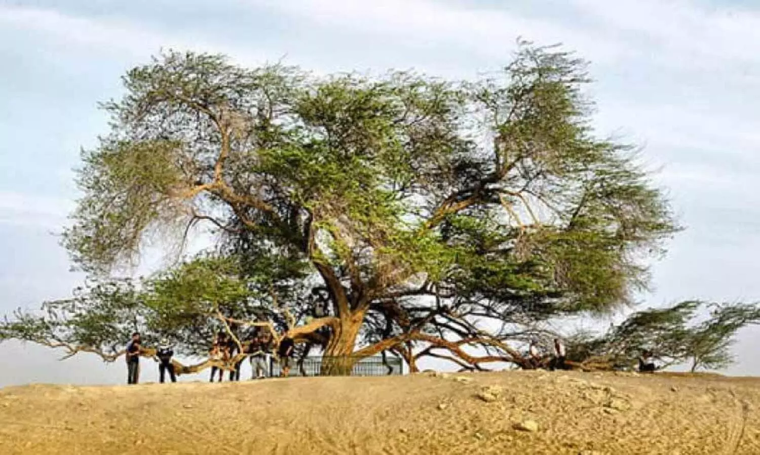 ബ​ഹ്റൈ​നി​ലെ സ​ന്ദ​ർ​ശ​ക​രു​ടെ ഇ​ഷ്ട​യി​ടം ച​രി​ത്ര സ്ഥ​ല​ങ്ങ​ൾ