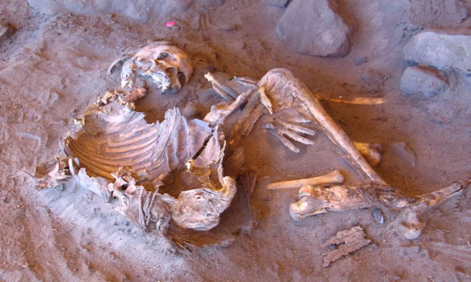 അജ്ഞാത വംശപരമ്പരയിൽ​പ്പെട്ട 7,000 വർഷം പഴക്കമുള്ള മമ്മികൾ സഹാറയിൽ കണ്ടെത്തി