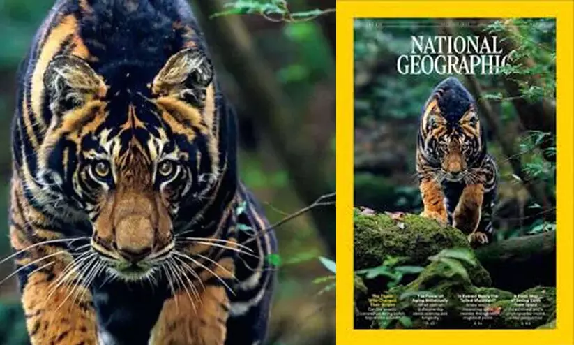 National Geographic magazine