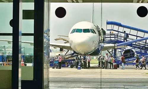 വിമാനത്തിനുള്ളിൽ എലി; ഇൻഡിഗോ വിമാനം മൂന്ന് മണിക്കൂർ വൈകി