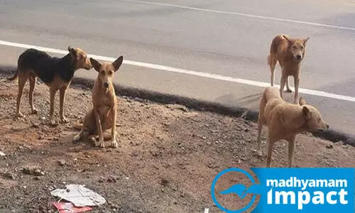 Representation Image Representation Image