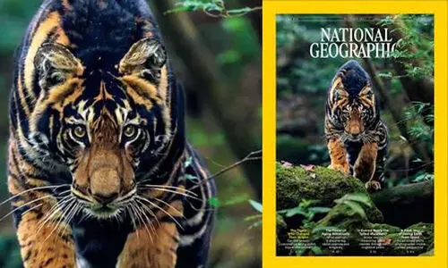 National Geographic magazine