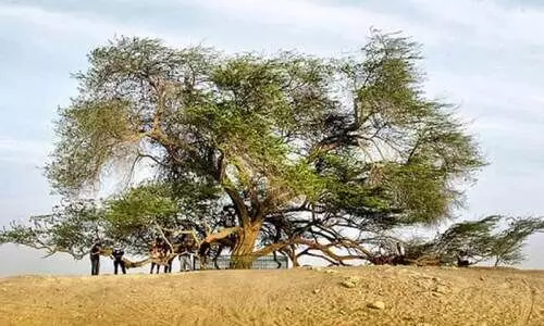 ബ​ഹ്റൈ​നി​ലെ സ​ന്ദ​ർ​ശ​ക​രു​ടെ ഇ​ഷ്ട​യി​ടം ച​രി​ത്ര സ്ഥ​ല​ങ്ങ​ൾ