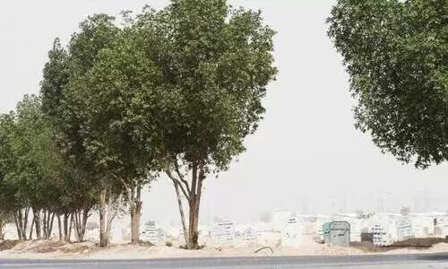 മ​യ്യി​ത്ത് മ​റ​വു​ചെ​യ്യു​ന്ന​തി​ന് പു​തി​യ സ​മ​യ​ക്ര​മം