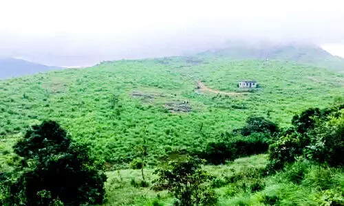 അ​ടി​സ്ഥാ​നസൗ​ക​ര്യ​മില്ല; വീ​ടു​വെ​ക്കാ​നാ​കാ​തെ ഭ​വ​നര​ഹി​ത​ർ