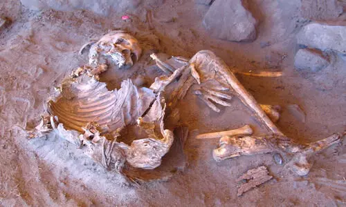 അജ്ഞാത വംശപരമ്പരയിൽ​പ്പെട്ട 7,000 വർഷം പഴക്കമുള്ള മമ്മികൾ സഹാറയിൽ കണ്ടെത്തി