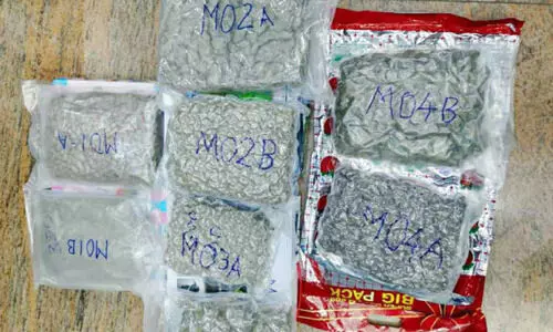 Hybrid cannabis seized from Karnataka home country