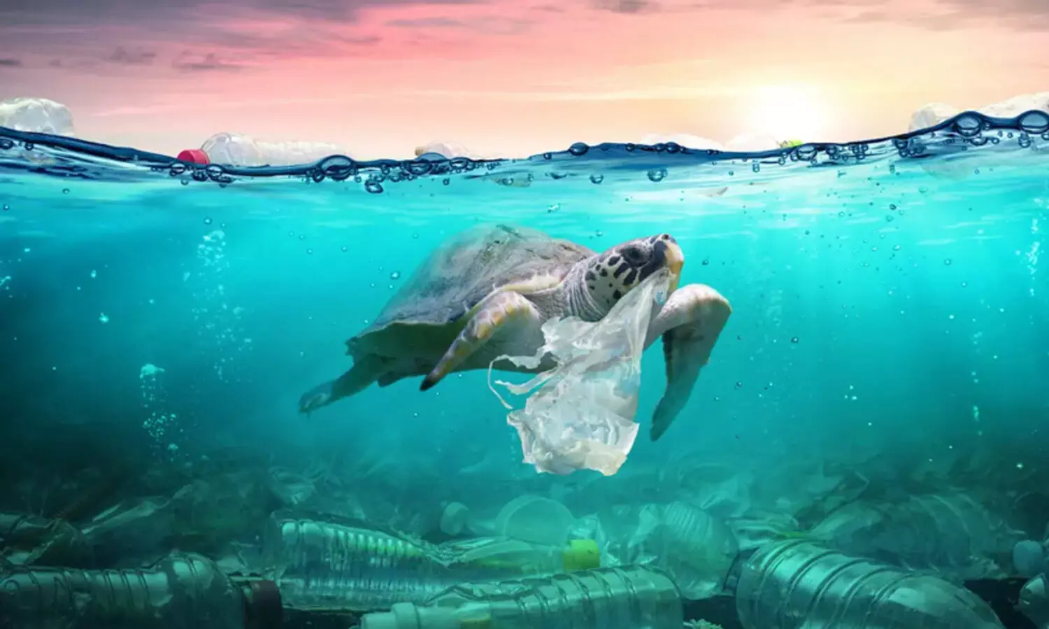 കടലിനും സമ്മർദമേറുന്നു; അടുത്ത കാൽ നൂറ്റാണ്ടിനകം സമുദ്രങ്ങളിലെ മനുഷ്യ സ്വാധീനം ഇരട്ടിയാകും