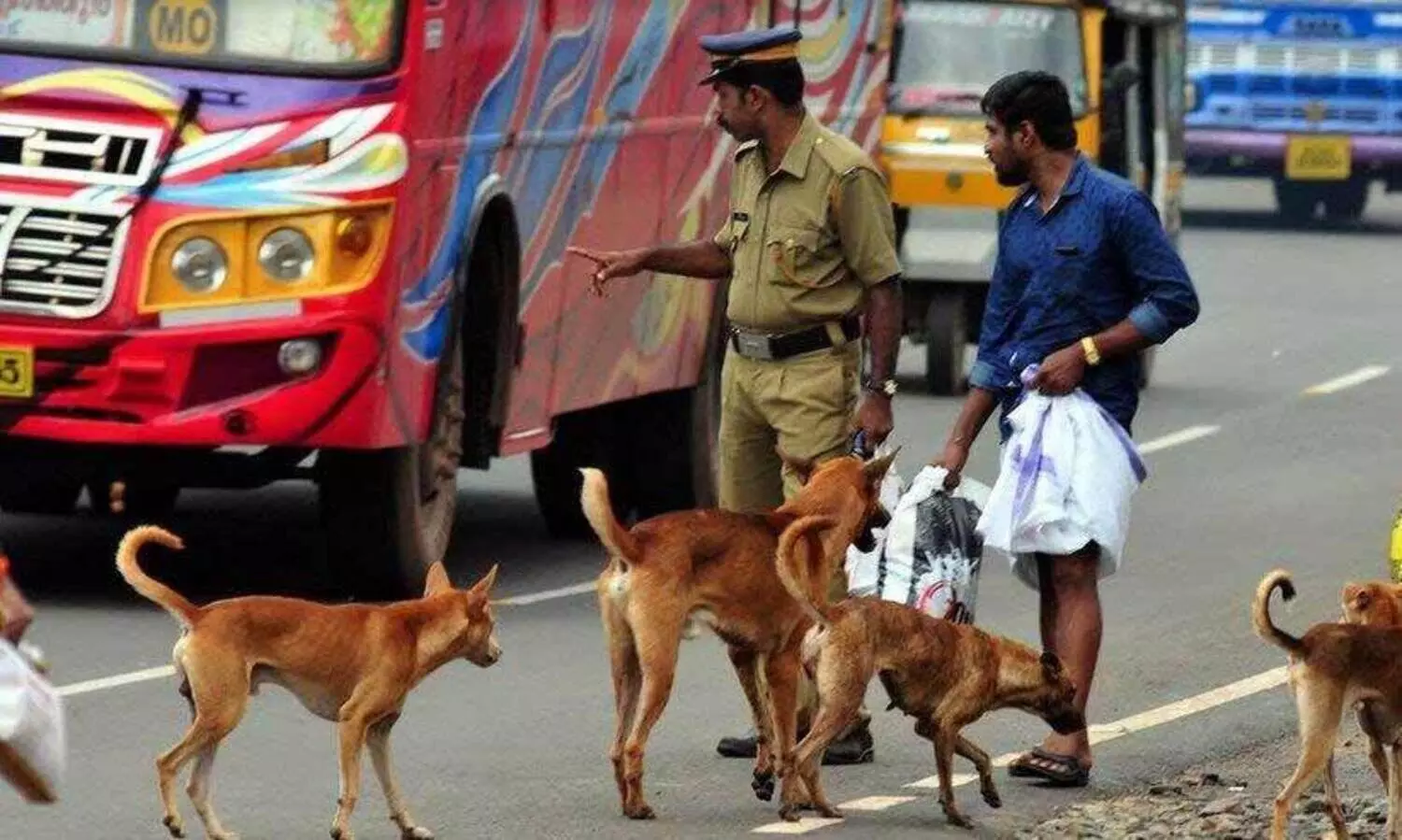 ഇ​രി​ങ്ങാ​ല​ക്കു​ട മാ​ര്‍ക്ക​റ്റി​ല്‍ തെ​രു​വു​നാ​യ് ആ​ക്ര​മ​ണം; നി​ര​വ​ധി പേ​ര്‍ക്ക് പ​രി​ക്ക്
