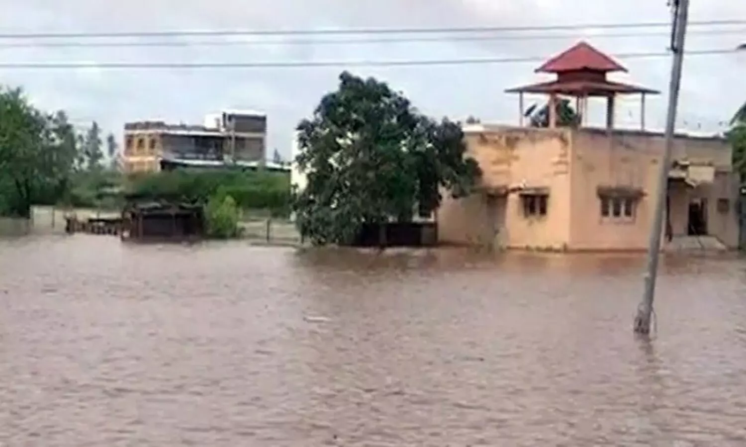 Rain Havoc In Marathwada