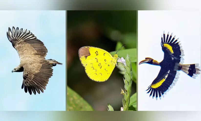 പെരിയാർ കുടുവ സംരക്ഷണ കേന്ദ്രം ജീവജാല വൈവിധ്യ ഹോട്സ്പോട്ട് പെരിയാർ കുടുവ സംരക്ഷണ കേന്ദ്രം ജീവജാല വൈവിധ്യ ഹോട്സ്പോട്ട്