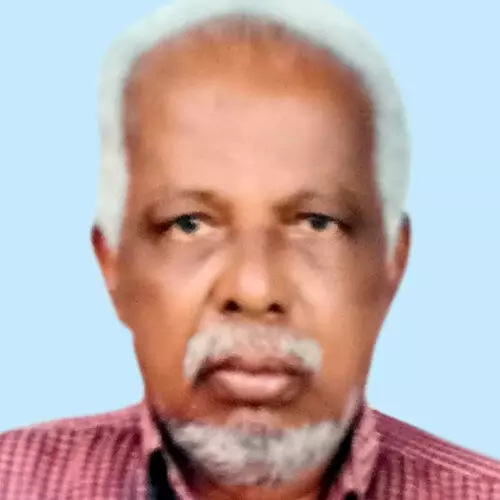 വി. നാരായൺ