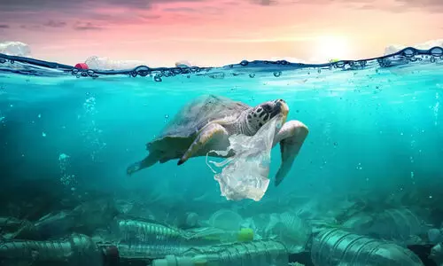 കടലിനും സമ്മർദമേറുന്നു; അടുത്ത കാൽ നൂറ്റാണ്ടിനകം സമുദ്രങ്ങളിലെ മനുഷ്യ സ്വാധീനം ഇരട്ടിയാകും