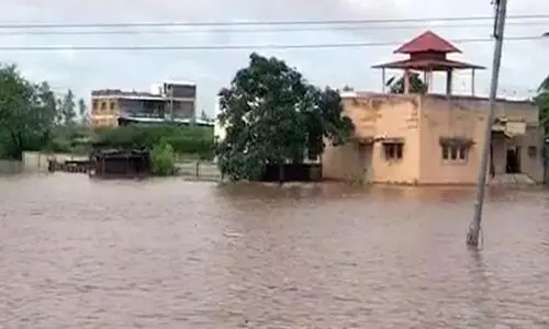 Rain Havoc In Marathwada