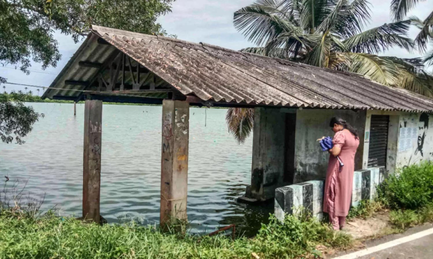 നെൽവയലുകളിൽ അനധികൃത മത്സ്യകൃഷി; പരിശോധന ആരംഭിച്ചു