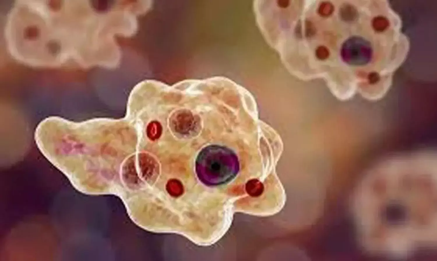 അമീബിക്​ മസ്തിഷ്കജ്വരം; ജില്ലയിൽ പ്രവർത്തനം ഊർജിതം