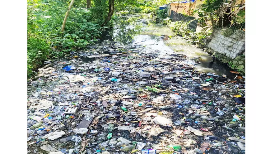 റാ​ണി​ത്തോ​ടി​ന്‍റെ ദു​രി​തം​പേ​റി നാ​ട്ടു​കാ​ർ;  ആല‘പ്പുഴ’യുടെ മാലിന്യ‘റാണി’