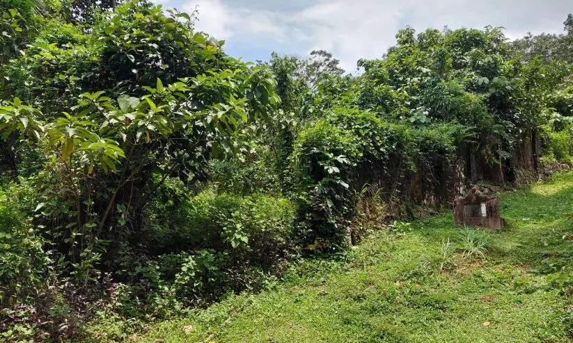 ഭൂമി വാങ്ങിയിട്ട്​ 30 വർഷം; പൊതു ശ്മശാനം യാഥാർഥ്യമായില്ല