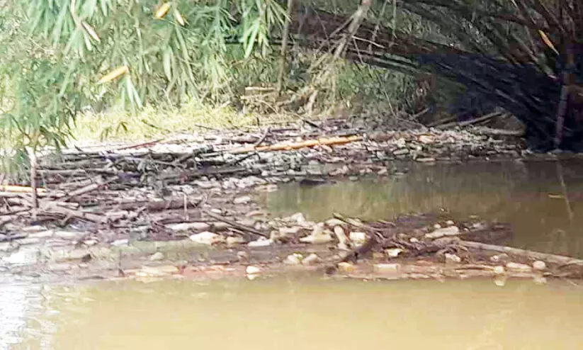 വാമനപുരം നദിയിൽ മാലിന്യം അടിഞ്ഞുകൂടുന്നു; നീക്കം ചെയ്യാതെ അധികൃതർ