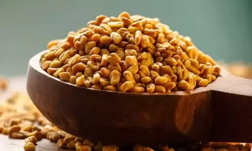 fenugreek