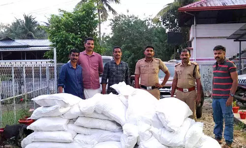 900 കിലോ നിരോധിത ലഹരി ഉത്​പന്നം പിടികൂടി