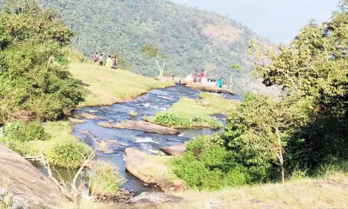 സഞ്ചാരികൾ നിറഞ്ഞ്​ ചെല്ലാർകോവിൽമെട്ടും അരുവിക്കുഴി വെള്ളച്ചാട്ടവും