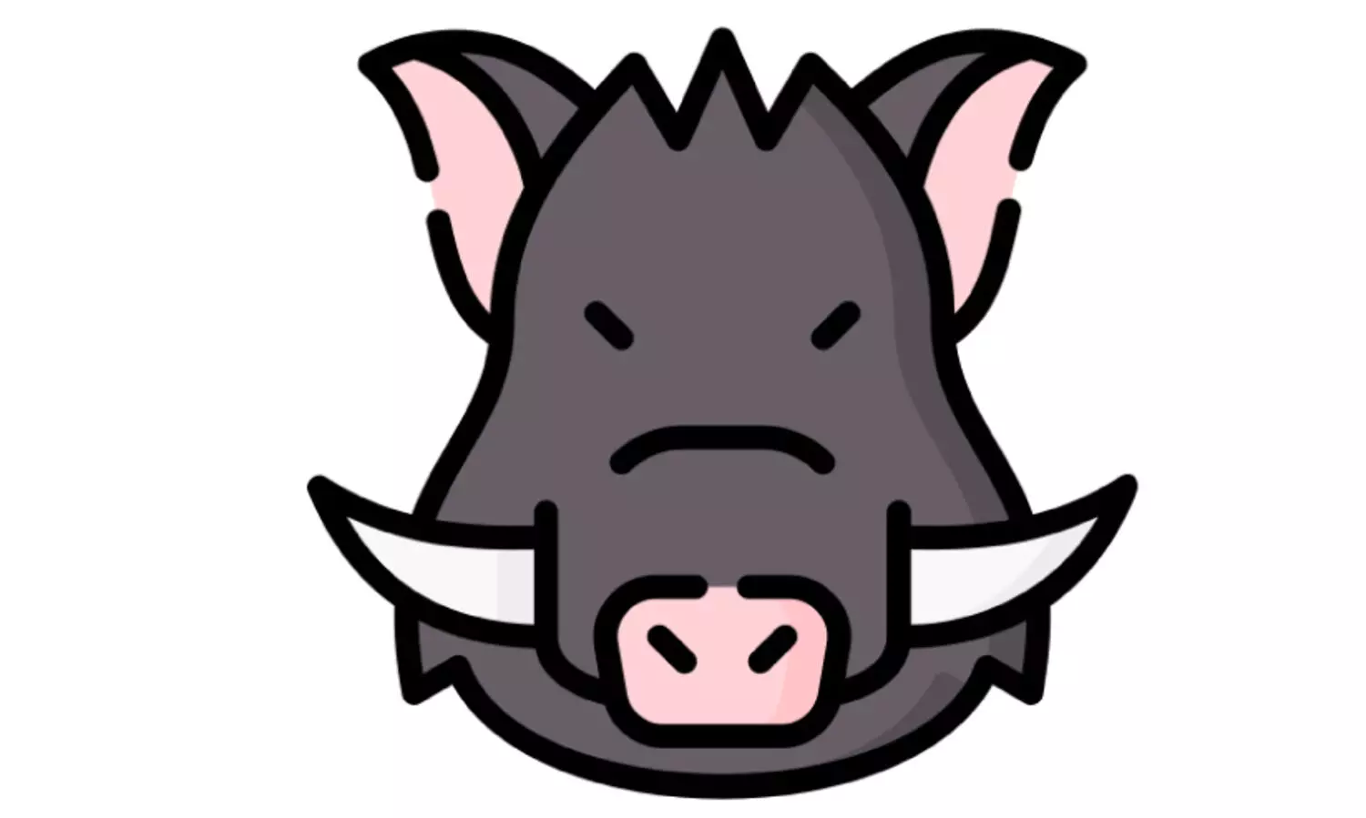 2022 മുതൽ ജില്ലയിൽ കൊന്നത്​ 157 കാട്ടുപന്നിക​ളെ