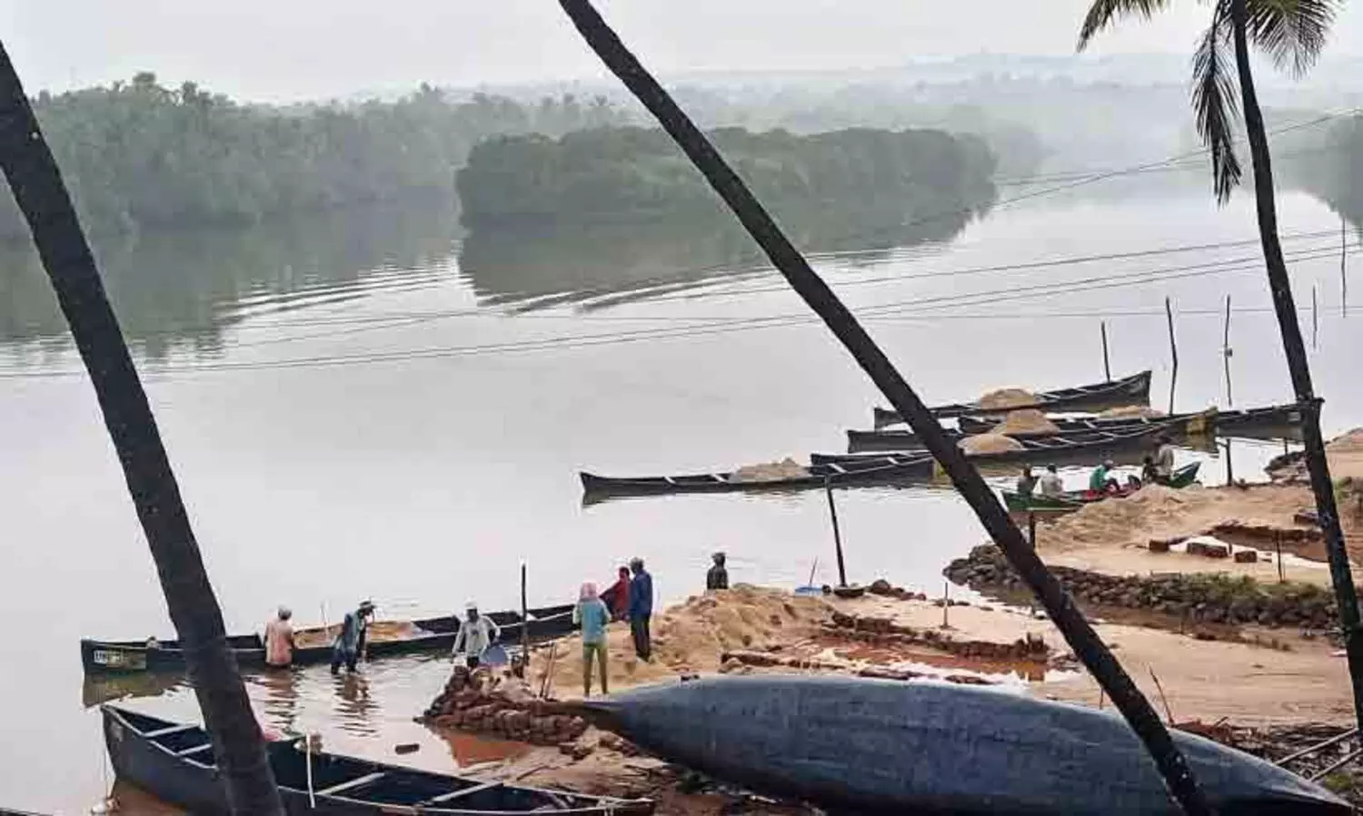 ഹ​രി​ത​കേ​ര​ള മി​ഷ​ൻ കാ​ണാ​തെ മൊ​ഗ്രാ​ൽ ക​ണ്ട​ൽ​തു​രു​ത്ത്
