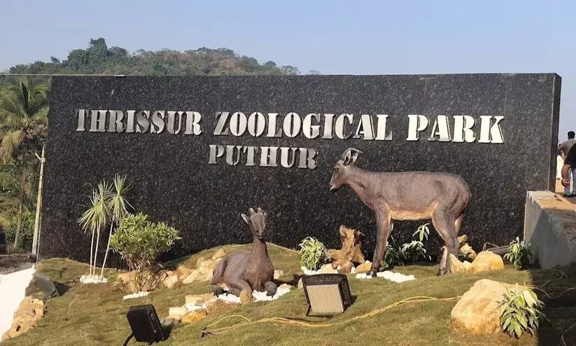 കാ​ഴ്ച​യു​ടെ പു​തു​ലോ​കം തീ​ർ​ക്കാ​ൻ പു​ത്തൂ​ര്‍ സു​വോ​ള​ജി​ക്ക​ല്‍ പാ​ര്‍ക്ക്